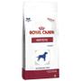 Imagem de Ração Royal Canin Hepatic Canine 2 Kg