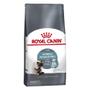 Imagem de Ração Royal Canin Intense Hairball para Gatos Adultos - 400 g