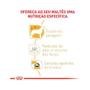 Imagem de Racao royal canin maltes adulto 2,5kg