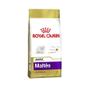 Imagem de Ração Royal Canin Maltês - Cães Filhotes - 2,5kg