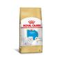 Imagem de Ração Royal Canin Maltês Puppy Filhotes 1 Kg