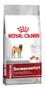 Imagem de Ração Royal Canin Medium Dermacomfort Cães Adultos 10,1 Kg