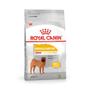 Imagem de Ração Royal Canin Medium Dermacomfort para Cães Adultos e Senior de Porte Médio 10,1 kg