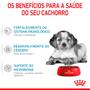 Imagem de Ração Royal Canin Medium Puppy Junior para Cães - 2,5kg