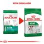 Imagem de Ração Royal Canin Mini Adult para Cães Adultos de Raças Pequenas com 10 Meses ou mais - 7,5 Kg