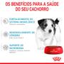 Imagem de Ração Royal Canin Mini - Cães Filhotes - 1kg