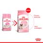 Imagem de Ração Royal Canin Mother & Babycat para Gatas Gestantes Lactantes e Gatos Filhotes de 1 a 4 Meses 1,5 kg