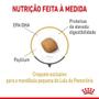 Imagem de Racao royal canin pomeranian adult 1kg