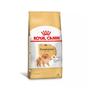 Imagem de Ração Royal Canin Pomeranian para Cães Adultos 1kg