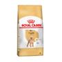 Imagem de Ração Royal Canin Poodle - Cães Adultos - 1kg