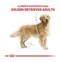 Imagem de Ração Royal Canin Raças Específicas Golden Retriever Adulto 12kg