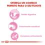 Ração Royal Canin Sachê Feline Kitten Instinctive para Gatos Filhotes com ate 12 meses - 85 g Imagem de Ração Royal Canin Sachê Feline Kitten Instinctive para Gatos Filhotes com ate 12 meses - 85 g