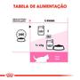 Ração Royal Canin Sachê Feline Kitten Instinctive para Gatos Filhotes com ate 12 meses - 85 g Imagem de Ração Royal Canin Sachê Feline Kitten Instinctive para Gatos Filhotes com ate 12 meses - 85 g