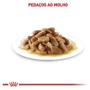 Ração Royal Canin Sachê Feline Kitten Instinctive para Gatos Filhotes com ate 12 meses - 85 g Imagem de Ração Royal Canin Sachê Feline Kitten Instinctive para Gatos Filhotes com ate 12 meses - 85 g
