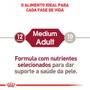 Imagem de Ração Royal Canin Sachê Size Health Nutrition Wet para Cães Adultos Raças Médias - 140 g