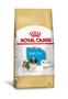 Imagem de Ração Royal Canin Shih Tzu Puppy Filhotes 1 Kg