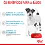 Imagem de Ração Royal Canin Starter Mother e Baby para Cães de Porte Mini 1kg