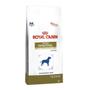 Imagem de Ração Royal Canin Veterinary Gastro Intestinal High Fibre - Cães Adultos - 10,1kg