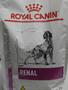 Imagem de Ração Royal Canin veterinary Renal Cães adultos - 2 kg