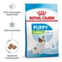 Imagem de Racao royal canin x-small junior 1kg