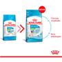 Imagem de Ração Royal Canin X-Small Puppy para Cães Filhotes de Porte Mini 500 g