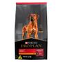 Imagem de Ração Seca Nestlé Purina Pro Plan Frango Cães Adultos Raças Grandes - 2,5 Kg