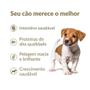 Imagem de Ração Seca Nutrilus Pro+ Frango & Carne para Cães Filhotes de Raças Pequenas - 10,1 Kg