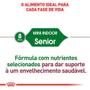 Imagem de Ração Seca para Cães Senior Royal Canin Mini Indoor Ageing 12+ 1KG