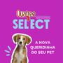 Imagem de Ração Seca Quatree Select Frango e Arroz para Cães  Filhotes Raças Médias e Grandes - 3 Kg