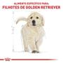 Imagem de Ração Seca Royal Canin Puppy Golden Retriever para Cães Filhotes - 3 Kg