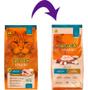 Imagem de Ração Special Cat Premium Especial Ultralife Frango E Arroz Gatos Adultos 1kg