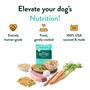 Imagem de Ração Úmida Portland Pet Food - Pacote Variado com 5 Unidades