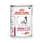 Imagem de Ração Úmida Royal Canin Cardiac 410g