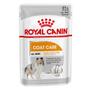 Imagem de Ração Úmida Royal Canin Sachê Cães Adultos Coat Care 85 G