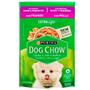 Imagem de Ração Úmida Sachê Dog Chow Sachê para Cães Filhotes de Raças Pequenas sabor Frango 100g