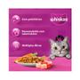 Imagem de Ração Whiskas para Gatos Adultos Sabor Mix de Carnes - 2,7kg