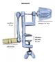 Imagem de Ralador de Côco  Espremdor de Limão  Espremedor de Alho e Furador de côco.