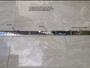 Imagem de Ralo Linear 6x50 Sifonado Anti Inseto Com Grelha Inox 