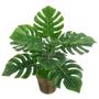 Imagem de Ramo Costela de Adão Decorativo Artificial Plástico Verde 9 Folhas 32cm