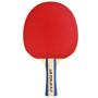 Imagem de Raquete de Ping Pong Tenis de Mesa Profissional Lin YunJu -2