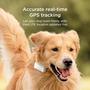 Imagem de Rastreador GPS Petcube para cães com alertas de fuga e cercas virtuais