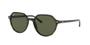 Imagem de Ray-Ban THALIA RB2195 902/31 Tartaruga Lente Verde Tam 53