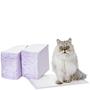 Imagem de Refil Cat Pad Amazon Basics para Caixa Sanitária - Pacote com 60