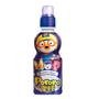 Imagem de Refrigerante de Blueberry Favlor Drink Paldo 235ml