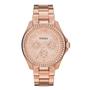 Imagem de Relógio Fossil Feminino Rose -  AM4483/1JN