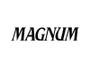 Imagem de Relógio Magnum Masculino MA32809F