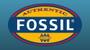 Imagem de Relógio Masculino Fossil Coachman CH2891/2PN