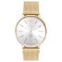 Imagem de Relógio Technos Masculino Ref: 2025ltz/1c Slim Mesh Dourado