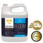 Imagem de Remos Bloom - 10 Litros