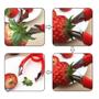 Imagem de Removedor de Olhos de Abacaxi e otras Fruitas Multiuso em Plastico e Metal 6x9 cm Vermelho